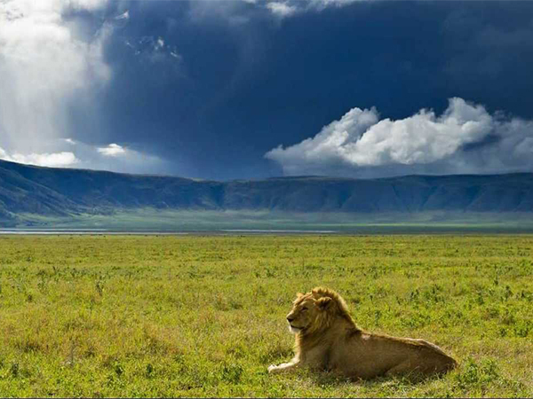 kenya tanzania budget safari